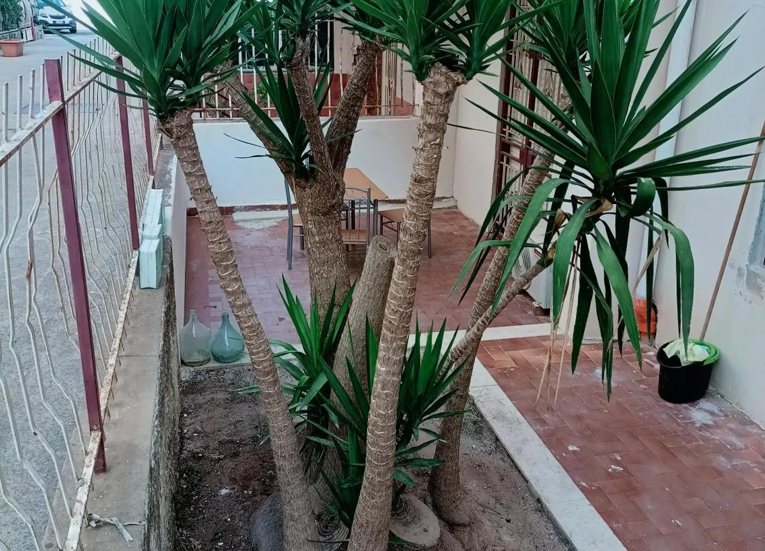 Apartment Case D'Irene Capaci